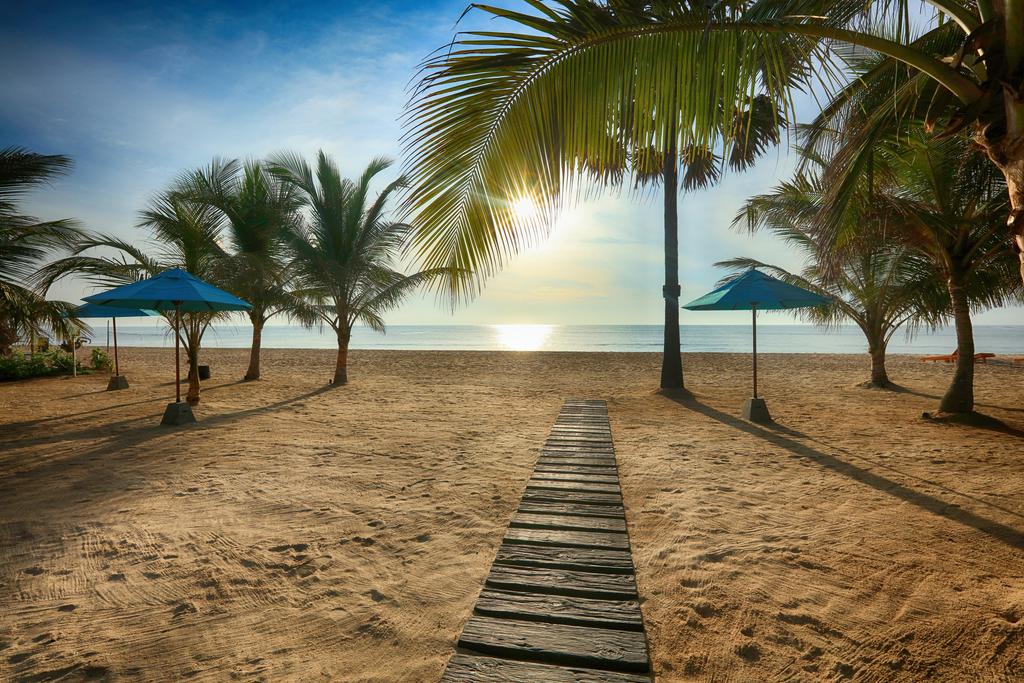 The beach шри ланка. Аругам Шри Ланка. Пляж Аругам - Шри-Ланка. Пляжи Арагум Бэй Шри Ланка.