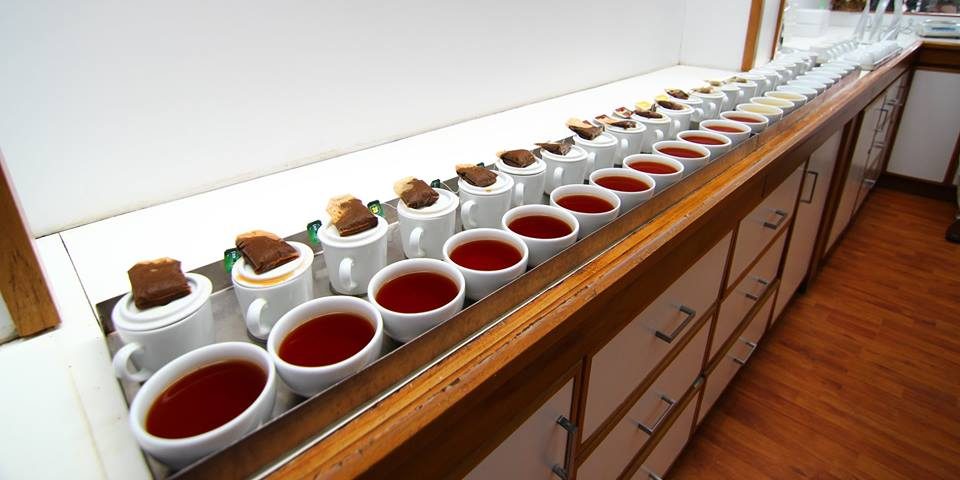 bogawantalawa-tea-brands