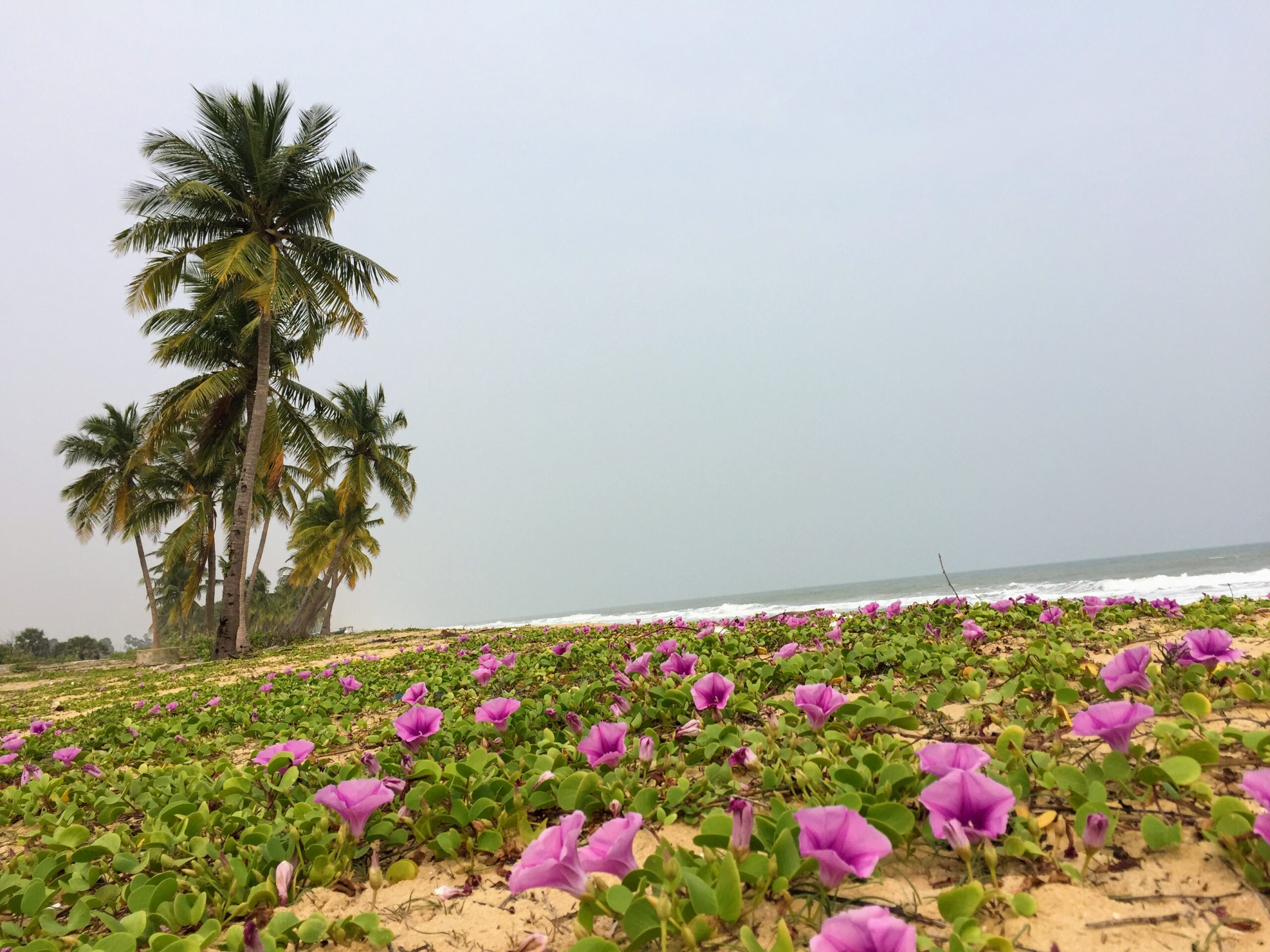 Jaffna_Beaches_Thalaiyadi