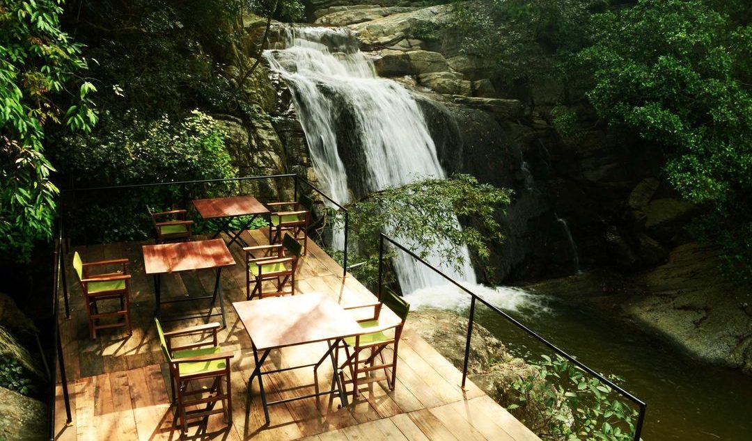 Jungle_Restaurant_Srilanka