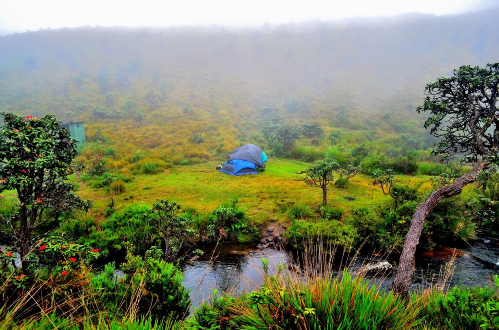 Nuwara_Eliya_Horatains_Plain