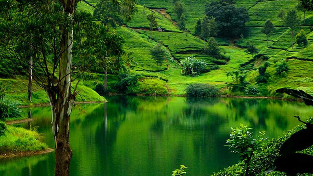 Nuwara_Eliya_Natural_Residense