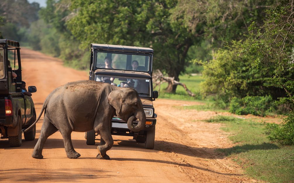 Road_Trips_Sri_Lanka