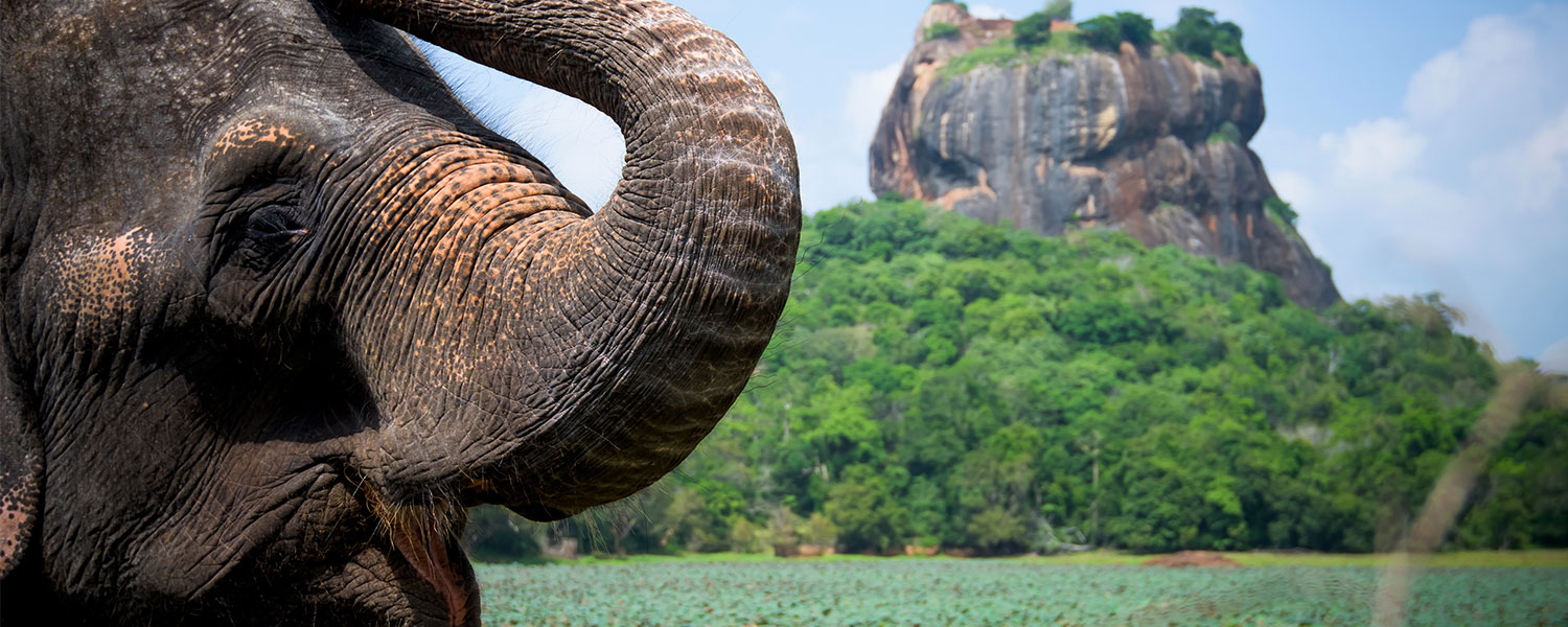 Sigiriya