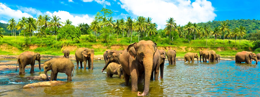 Wonderful-Island-Sri-Lanka